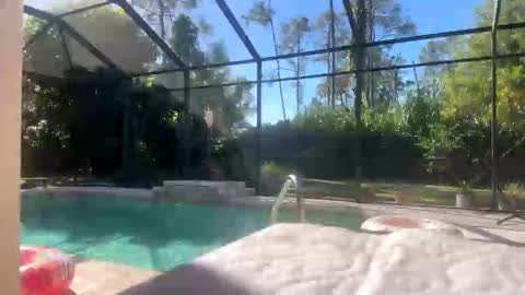 Snapshot of frank_sweetdick chatting on 30, 9, 2025 frank_sweetdick online show from 30, 9, 2025