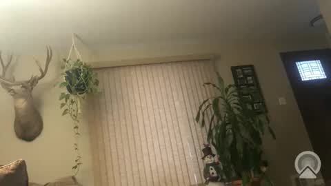 Frank online show from 6, 1, 2026