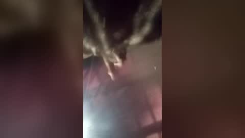 freakyrickyyy6 online show from 18, 6, 2026