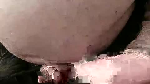 David Fredal online show from 28, 1, 2025