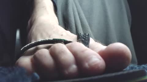 Greedy Fred online show from 3, 3, 2026