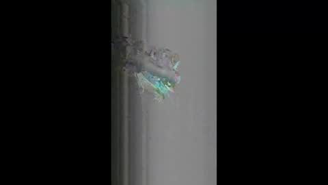 Snapshot of fredy621268 chatting on 18, 4, 2026 fredy621268 online show from 18, 4, 2026