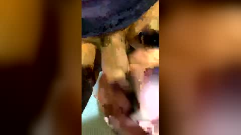 Snapshot of freestpeople chatting on 14, 4, 2026 freestpeople online show from 14, 4, 2026