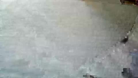 Snapshot of frenchpapalover chatting on 5, 12, 2024 frenchpapalover online show from 5, 12, 2024