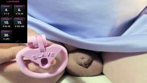 Meadow online show from 16, 12, 2024