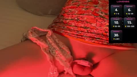 Meadow online show from 29, 12, 2024