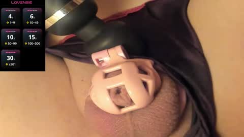 Meadow online show from 11, 1, 2025