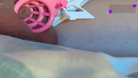 Meadow online show from 9, 3, 2025