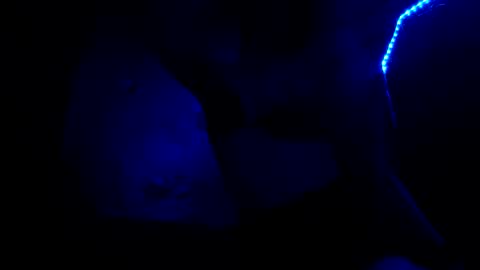 Snapshot of fu338208 chatting on 26, 10, 2025 fu338208 online show from 26, 10, 2025