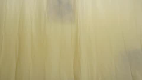 Snapshot of fun4tips chatting on 15, 2, 2025 Fun4Tips online show from 15, 2, 2025