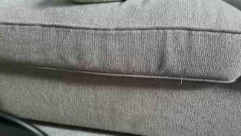 Snapshot of funcouple4282 chatting on 12, 9, 2025 marklaura online show from 12, 9, 2025