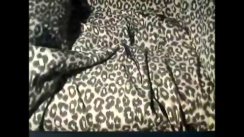 Snapshot of funcyman3 chatting on 18, 2, 2025 funcyman3 online show from 18, 2, 2025