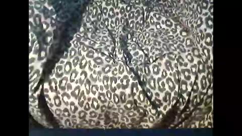 Snapshot of funcyman3 chatting on 15, 4, 2026 funcyman3 online show from 15, 4, 2026