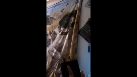 Snapshot of funinbed607918 chatting on 25, 4, 2026 funinbed607918 online show from 25, 4, 2026