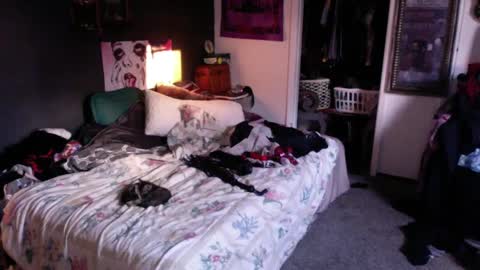 Snapshot of funmidwestman chatting on 17, 9, 2025 funmidwestman online show from 17, 9, 2025