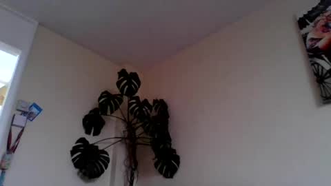 Snapshot of funn333222 chatting on 15, 6, 2026 funn333222 online show from 15, 6, 2026