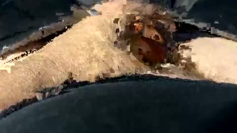 funtime741 online show from 10, 12, 2024