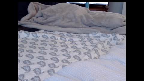 Snapshot of funtimz16 chatting on 13, 2, 2025 Funtimz16 online show from 13, 2, 2025