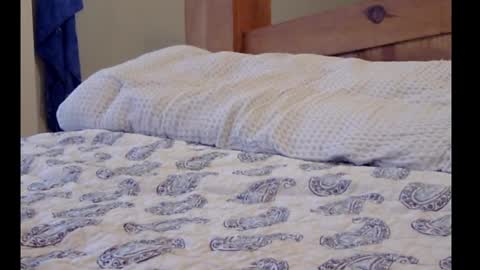 Snapshot of funtimz16 chatting on 3, 3, 2025 Funtimz16 online show from 3, 3, 2025