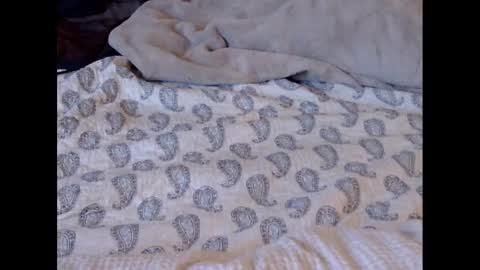 Snapshot of funtimz16 chatting on 8, 3, 2025 Funtimz16 online show from 8, 3, 2025