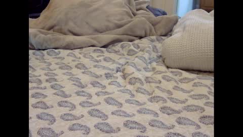 Snapshot of funtimz16 chatting on 9, 3, 2025 Funtimz16 online show from 9, 3, 2025