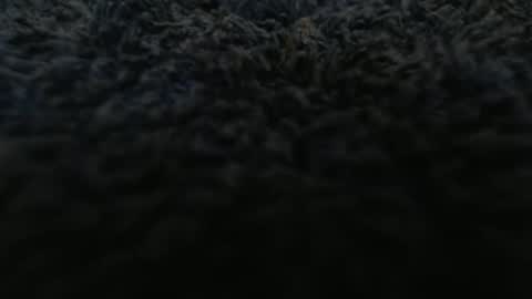 Snapshot of fuzzzman chatting on 5, 3, 2026 Mark online show from 5, 3, 2026