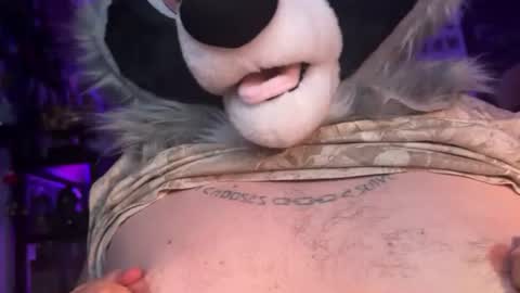 Snapshot of g00nyracoony chatting on 20, 6, 2026 Zaboo Raccoon online show from 20, 6, 2026