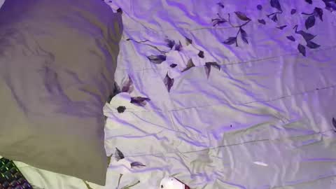 Snapshot of gabriel_olx chatting on 16, 3, 2026 gabriel online show from 16, 3, 2026