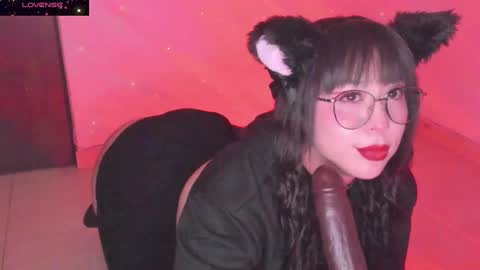 PROXIMO SHOW NOVIEMBRE 16   NEXT SHOW NOVEMBER  16    online show from 20, 12, 2024