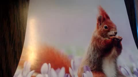 Snapshot of galera100 chatting on 3, 3, 2026 galera100 online show from 3, 3, 2026