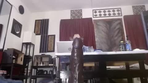 gatewaylaptop2019 online show from 12, 4, 2026