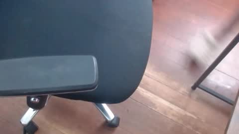 Snapshot of gato27cam chatting on 20, 4, 2026 Marco online show from 20, 4, 2026