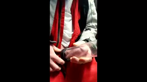 Snapshot of gator19037526775 chatting on 13, 3, 2026 gator19037526775 online show from 13, 3, 2026