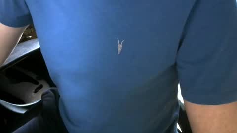 Snapshot of gay_slave_on_cam chatting on 5, 10, 2025 gay slave on cam online show from 5, 10, 2025