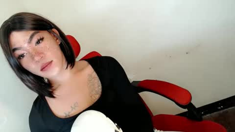 gelo online show from 19, 5, 2026