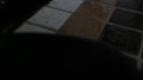 Snapshot of gene4 chatting on 31, 12, 2024 gene online show from 31, 12, 2024