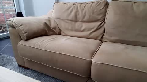 Gentle online show from 30, 12, 2024