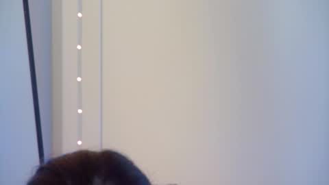 GentleRossi online show from 1, 10, 2025