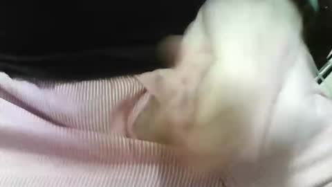 Snapshot of germandaddydick1 chatting on 25, 10, 2025 germandaddydick1 online show from 25, 10, 2025