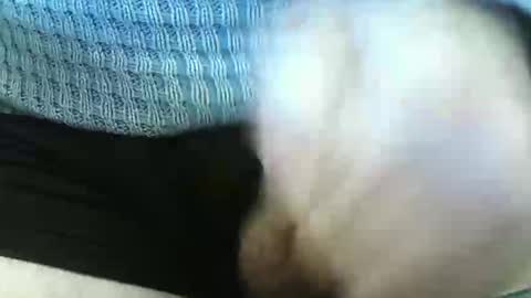 Snapshot of germandaddydick1 chatting on 4, 6, 2026 germandaddydick1 online show from 4, 6, 2026