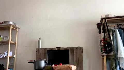 gerson229 online show from 6, 1, 2026