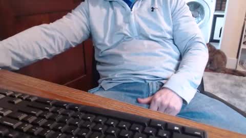 gethoggy online show from 31, 3, 2026