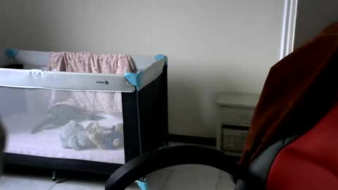 Gisse online show from 24, 2, 2025