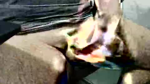 Snapshot of ghost1805 chatting on 14, 10, 2025 ghost1805 online show from 14, 10, 2025