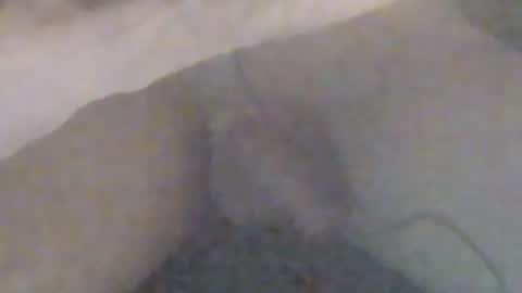 Snapshot of girlscallme666 chatting on 12, 1, 2026 lovegirlscallme online show from 12, 1, 2026