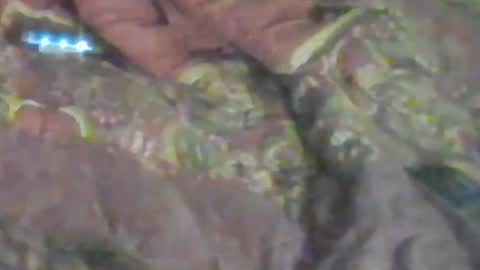Snapshot of girlscallme666 chatting on 17, 1, 2026 lovegirlscallme online show from 17, 1, 2026