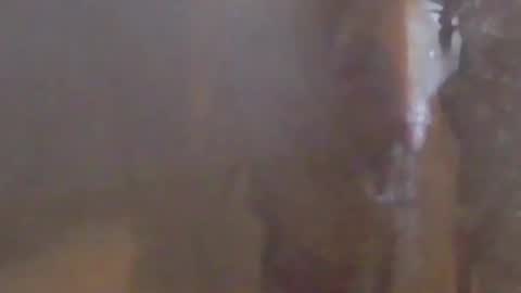 Snapshot of girlscallme666 chatting on 7, 3, 2026 lovegirlscallme online show from 7, 3, 2026