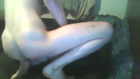 girthdoctor online show from 3, 12, 2025