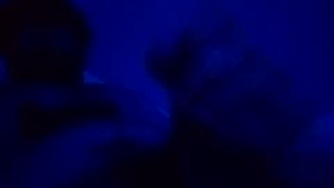 elen06 online show from 15, 12, 2025