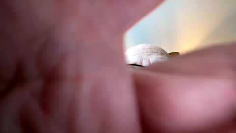 gngnxxx online show from 7, 10, 2025